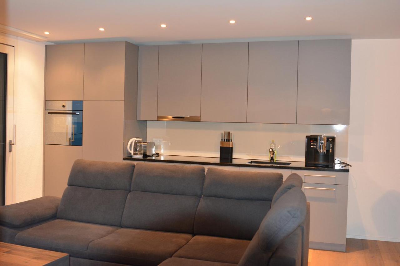 Brand New Apartment Surrounded By Nature Schattdorf Luaran gambar